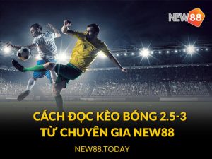 Cách đọc kèo bóng 2.5-3 từ chuyên gia NEW88
